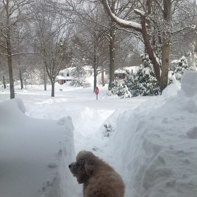 Blizzard Batters Suffolk