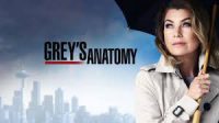 Ellen Pompeo Stars in the long-running hit TV Show Greys Anatomy