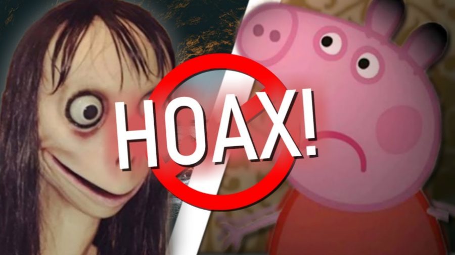 Momo Hoax Exposed