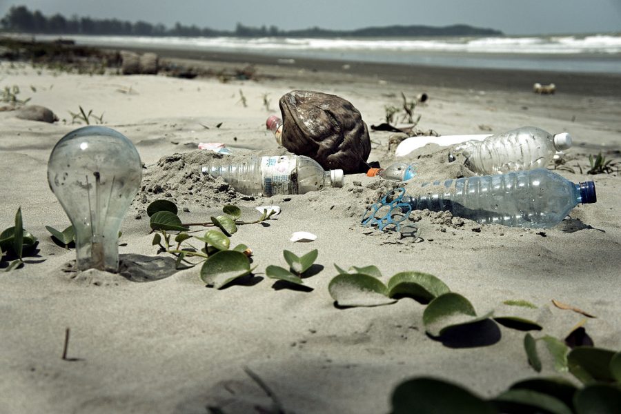 Save+the+Earth%E2%80%94Use+Less+Plastic
